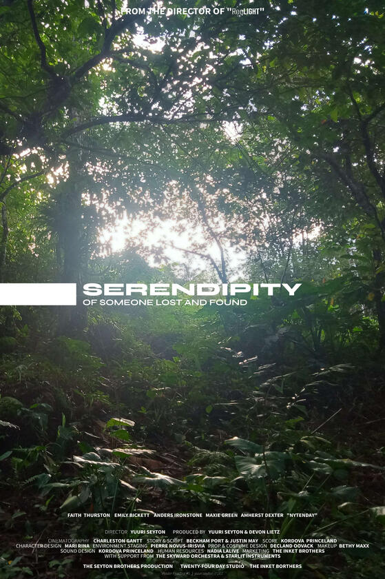 VI: Serendipity of Someone Lost and Found