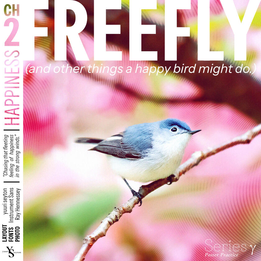 Act II: Freefly (and other things a happy bird might do.)